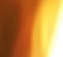 Health-Preserving Millet with Sea Cucumber