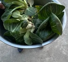 Fresh Seasonal Vegetables