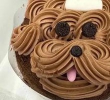 Chocolate Crème Brûlée Cake