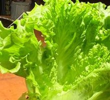 Wrapped Meat Vegetable