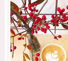 Ice Australian White