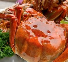 Yangcheng Lake Crab