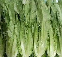 Garlic Mashed Pak Choi