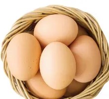 Egg