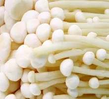 Enoki Mushrooms
