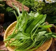Water spinach
