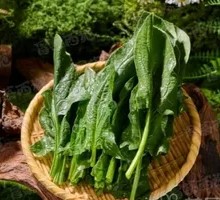 Spinach