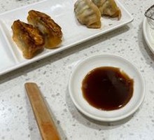 Japanese Pan-Fried Dumplings
