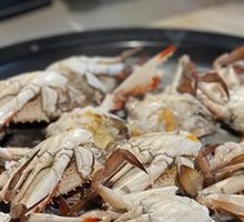 Spider Crab