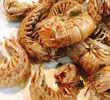 Mantis Shrimp