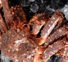 King Crab