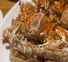Mantis Shrimp
