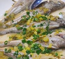 Yellow Croaker
