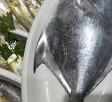 Steamed Large Spanish Mackerel