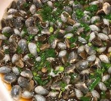 Mud Snail