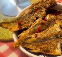 Yellow Croaker
