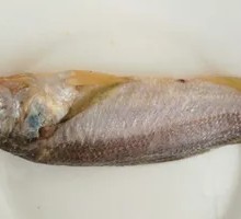 Yellow Croaker