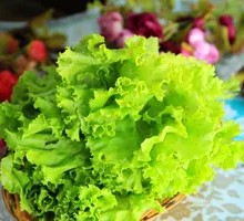 Lettuce