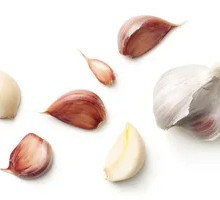 Half Head Garlic
