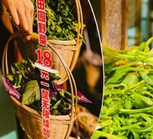 Wild Vegetable Buffet 18 Yuan
