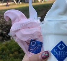 Plain Yogurt Ice Cream