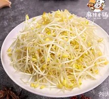 Fresh Tender Bean Sprouts