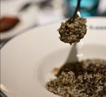 Truffle Risotto