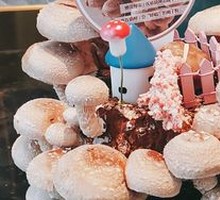 Organic Pine Mushroom