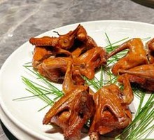Jinyue Xuan Pigeon
