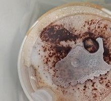 Tiramisu Latte