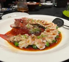 Scallion Oil Steamed Eastern Star Grouper