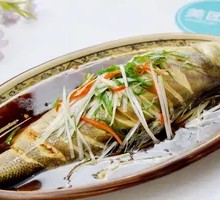 Steamed Sea Bass