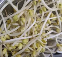 Bean sprouts