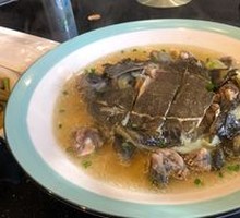 Steamed Softshell Turtle