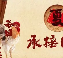 Signature Earth Pot Chicken