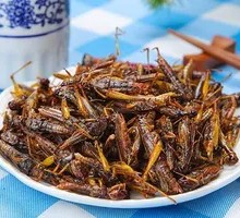 Roasted Locusts