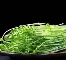 Pea Shoots