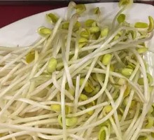 Bean sprouts