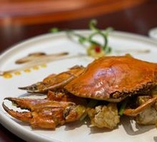 Green Crab