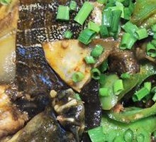 Little Lucky Turtle Pot