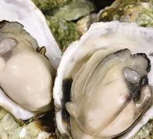 Steamed Oyster with Garlic