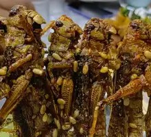 Grilled Grasshopper Skewers