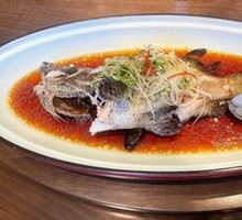 Ancient Method Steamed Tiger Grouper in Dragon Shape