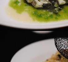 Tofu Pesto Bass