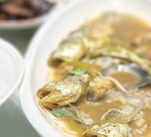East China Sea Yellow Croaker