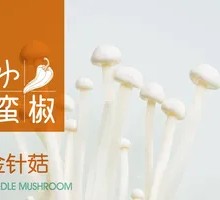 Enoki Mushroom