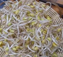Bean sprouts