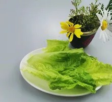 Lettuce