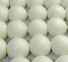 Jiuxiang Steamed Buns