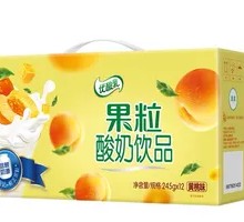 Peach Yogurt Drink with Fruit Pieces